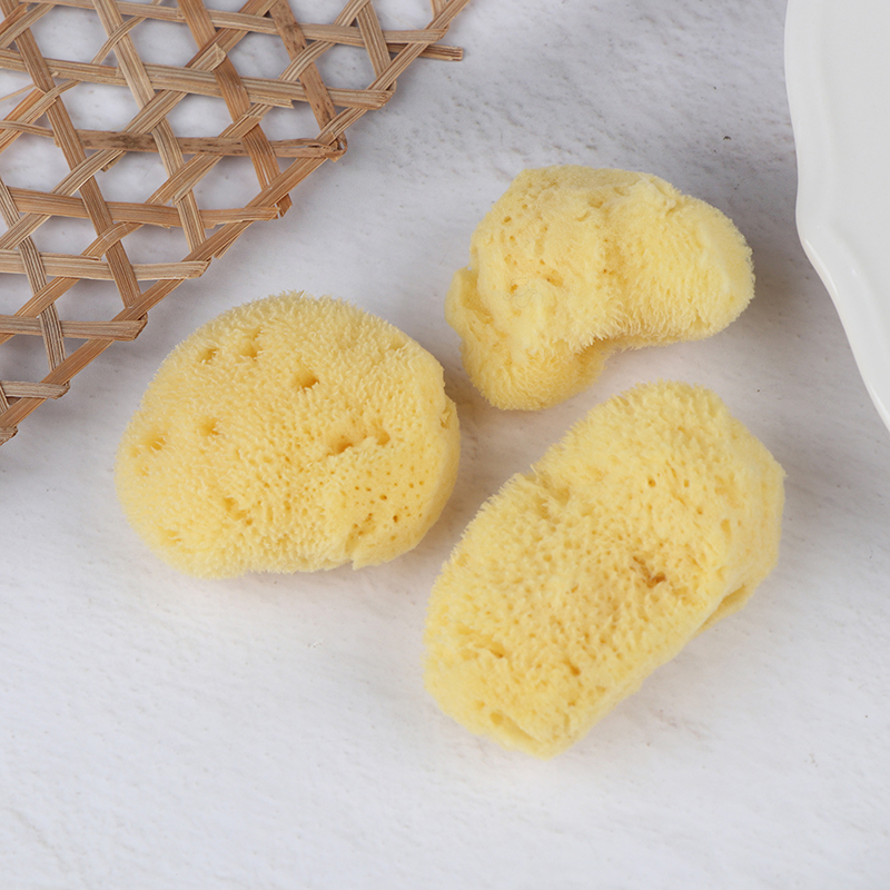 Eco Sponge - Alat Pembersih Produksi Tekstur Khusus Lukisan