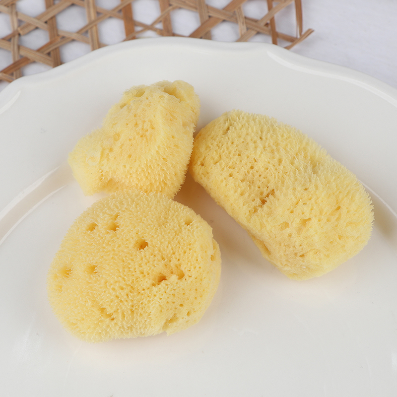 Alat Pembersih Produksi Tekstu - Eco Sponge ulasan dan harga