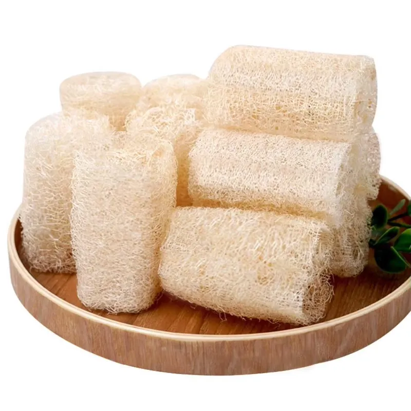 Sikat Cuci Piring Spons Luffa  - Eco Sponge ulasan dan harga